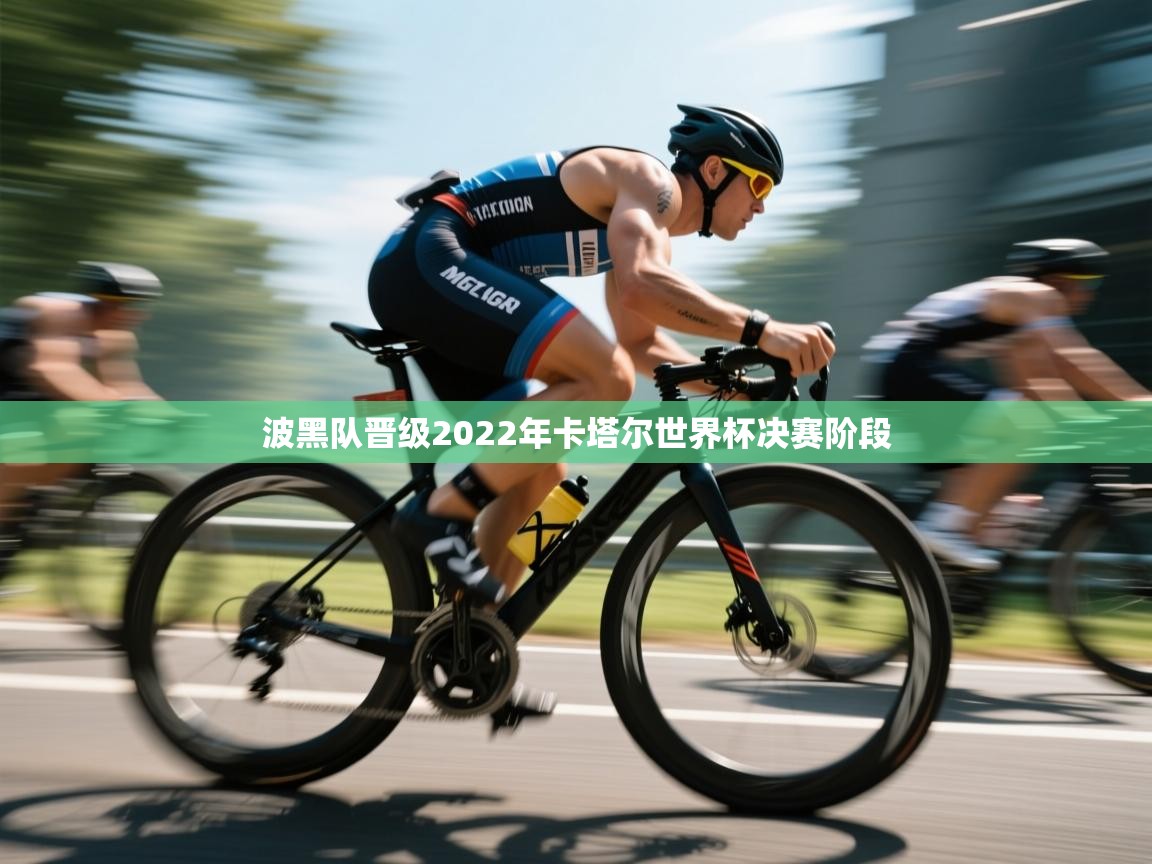 波黑队晋级2022年卡塔尔世界杯决赛阶段  第2张