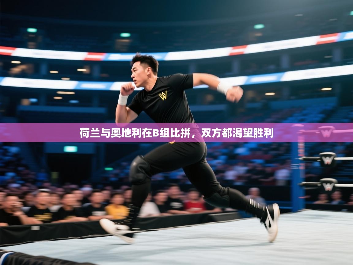 荷兰与奥地利在B组比拼,双方都渴望胜利 第1张