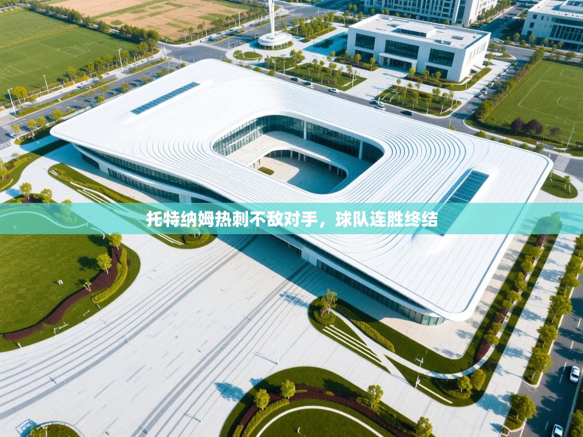 托特纳姆热刺不敌对手，球队连胜终结  第2张