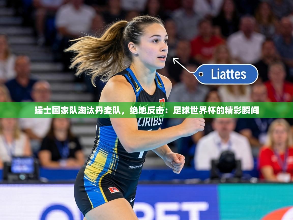 瑞士国家队淘汰丹麦队，绝地反击：足球世界杯的精彩瞬间  第1张