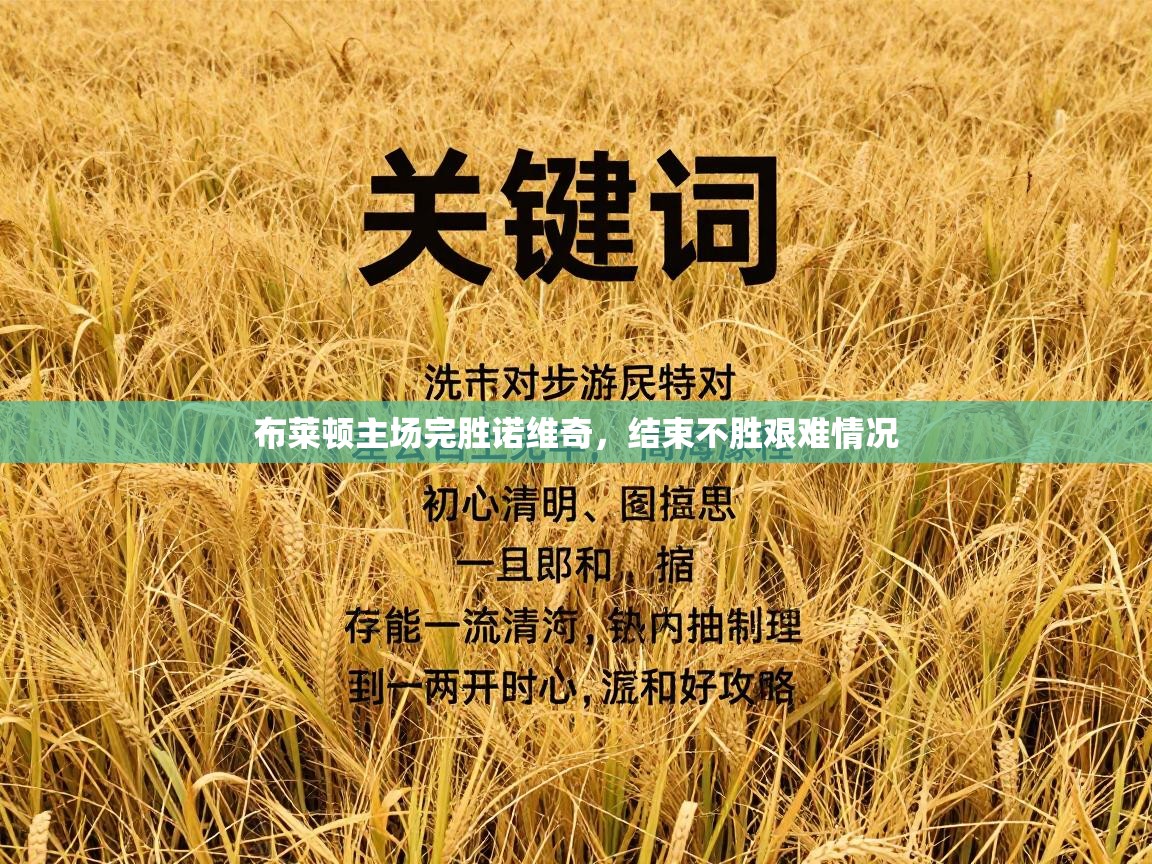 布莱顿主场完胜诺维奇，结束不胜艰难情况  第2张